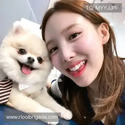 司尤月